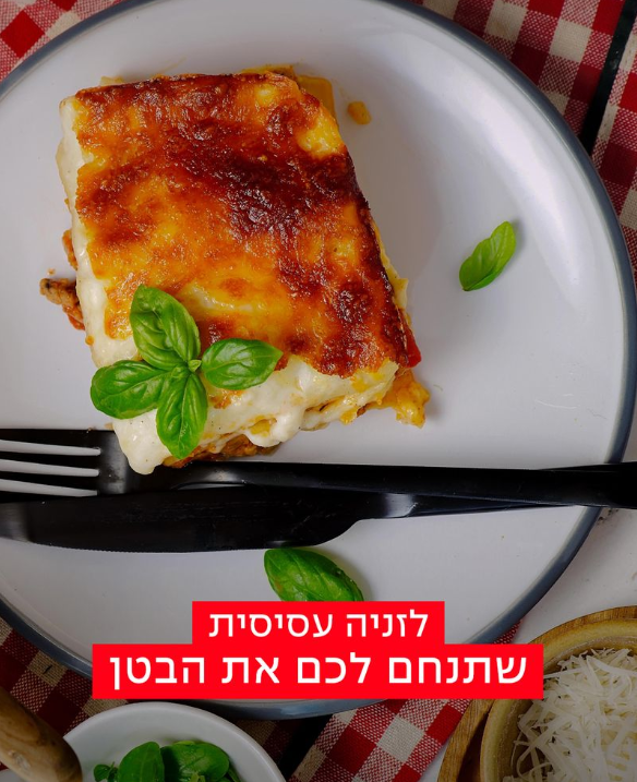 לזניה עססית בטוסטר אובן